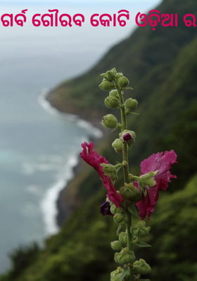 ଗର୍ବ ଗୌରବ କୋଟି ଓଡ଼ିଆ ର