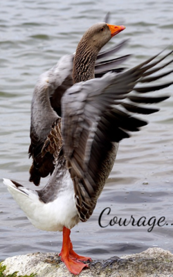 Courage...