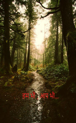                                                            हम भी , आप भी...
