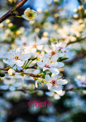 परिवर्तन