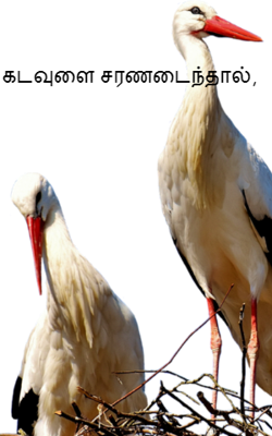 கடவுளை சரணடைந்தால்