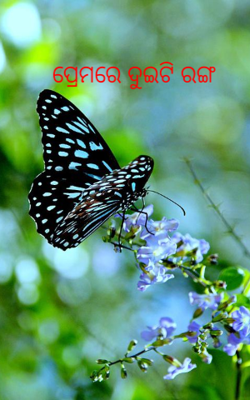 ପ୍ରେମରେ ଦୁଇଟି ରଙ୍ଗ