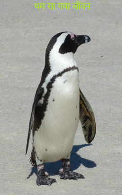 थम सा गया जीवन