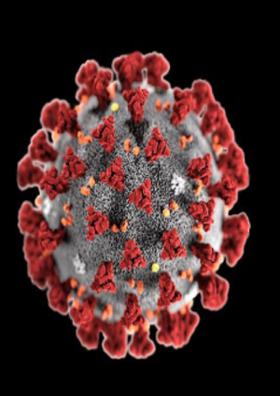 कोरोना (एक नजर)