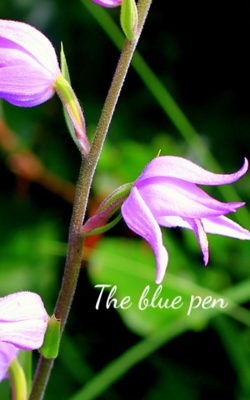 The Blue Pen