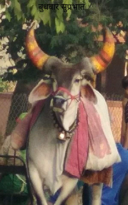 बुधवार सुप्रभात..!