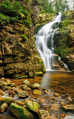 પર્યાવરણ