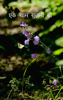 एक शाम सुहानी सी