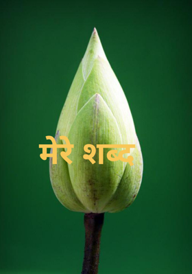 मेरे शब्द