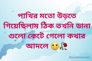 পাখির মতো উড়তে গিয়েছিলাম ঠিক তখনি ডানা গুলো কেটে গেলো কথার আদলে 🙂🥀