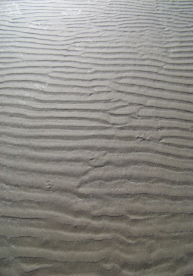 जीवन रेखा 