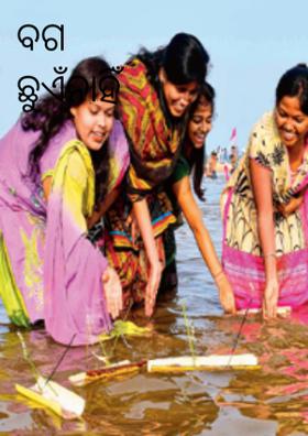 ବଗ ଛୁଏଁନାହିଁ ମୀନ