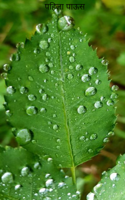 पहिला पाऊस