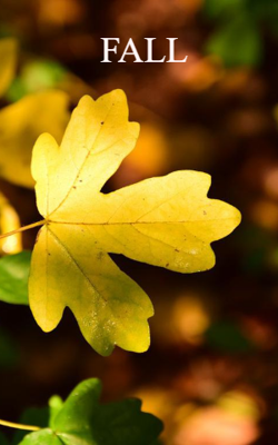 FALL