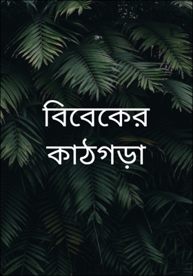 বিবেকের কাঠগড়া