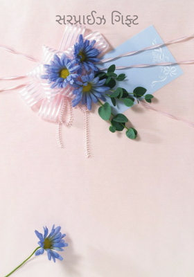 સરપ્રાઈઝ ગિફ્ટ