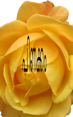 പിണക്കം