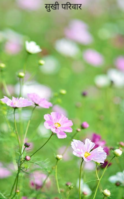 सुखी परिवार