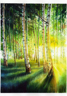 বৃক্ষরোপণ