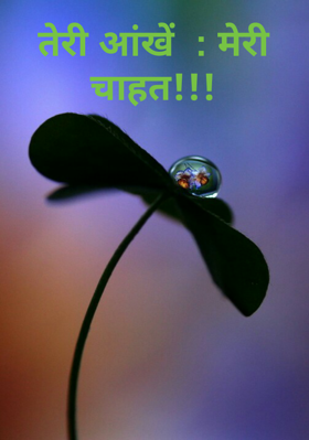 तेरी आंखें  : मेरी चाहत!!!