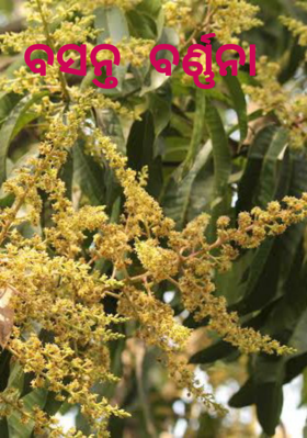 ବସନ୍ତ ବର୍ଣ୍ଣନା