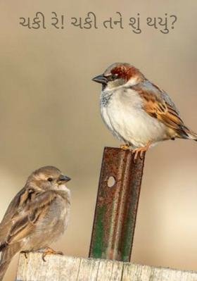 ચકી રે  ચકી તને શું થયું ?