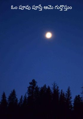 ఓం పూవు పూస్తే ఆమె గుర్తొస్తుం