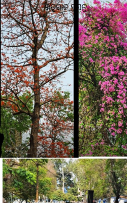 ଋତୁରାଜ ବସନ୍ତ