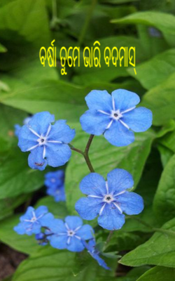 ବର୍ଷା ତୁମେ ଭାରି ବଦମାସ୍