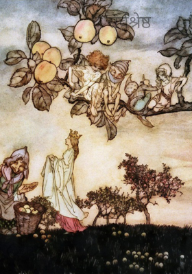 सर्वश्रेष्ठ