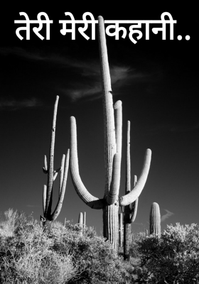 तेरी मेरी कहानी..