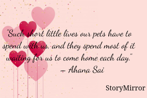"Such short little lives our pets have to spend with us, and they spend most of it waiting for us to come home each day."
           – Ahana Sai