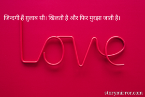 जिन्दगी हैं ग़ुलाब सी। खिलती है और फिर मुरझा जाती है।