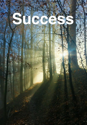 Success
