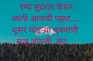 रम्य सुदंरता घेऊन
आली आजची पहाट.... 
धूसर पांढऱ्या धुक्यांणी 
सजू लागली  वाट....