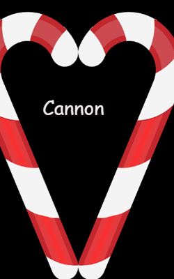 Cannon