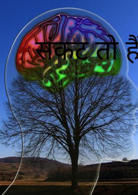 संकट तो हैं