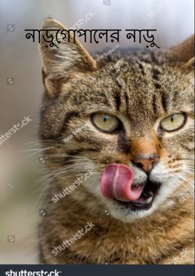 নাড়ুগোপালের নাড়ু