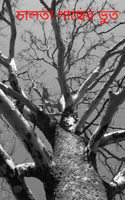 চালতা গাছের ভুত