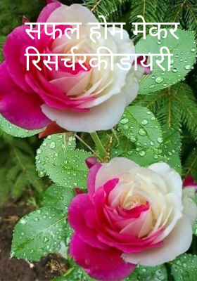 सफल होम मेकर रिसर्चर की डायरी