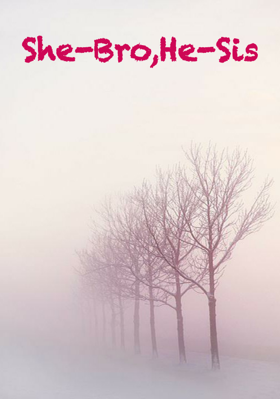 She-Bro, He-Sis
