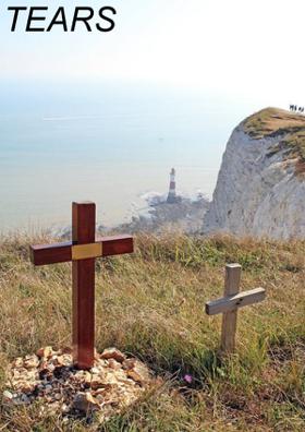 Tears