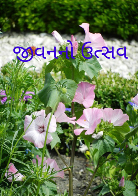 જીવનનો ઉત્સવ