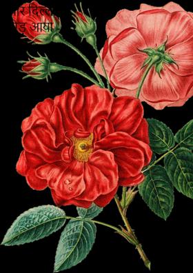 प्यार दिल्ली में छोड़ आया - 10