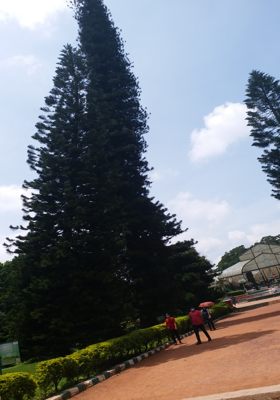 दुनिया की निराली रीत