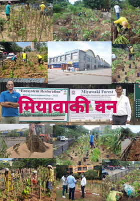 मियावाकी वन