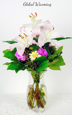 Global Warming