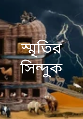 স্মৃতির সিন্দুক