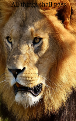 All things shall pass