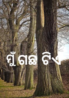 ମୁଁ ଗଛଟିଏ